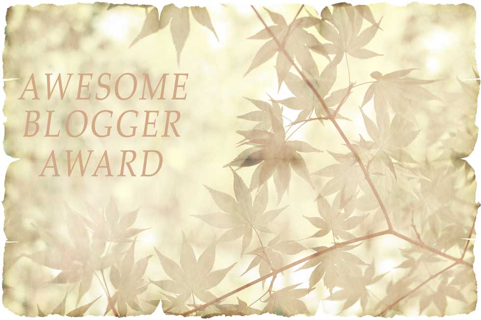 Foto: Awesome Blogger Award
